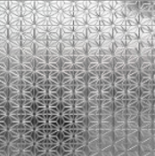 STARBOOKS_採光腐食パターン_104