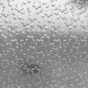 STARBOOKS_採光腐食パターン_109