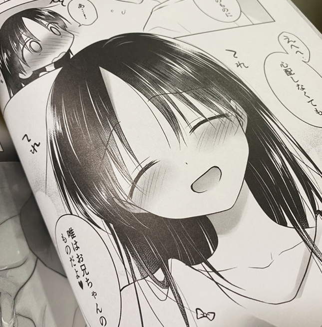 STARBOOKSの三上ミカ様の作例一覧
