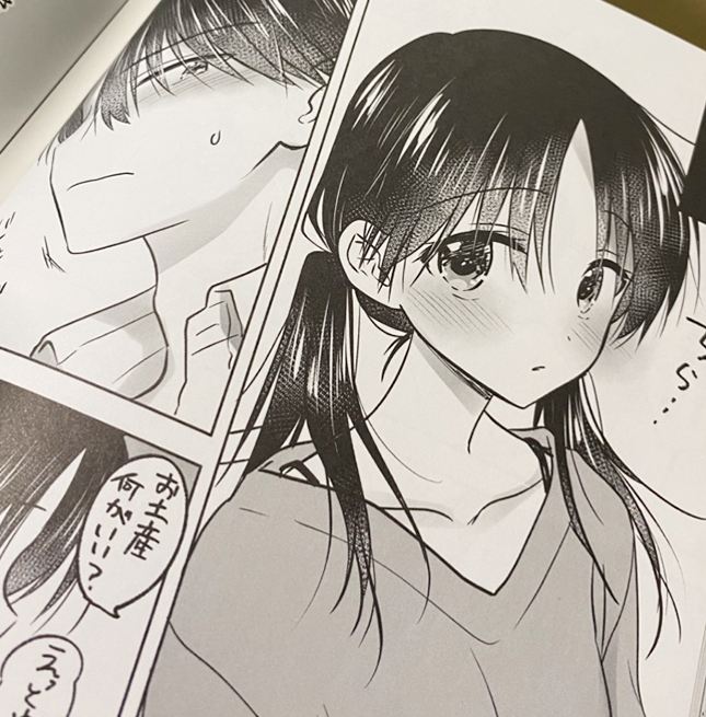 STARBOOKSの三上ミカ様の作例一覧
