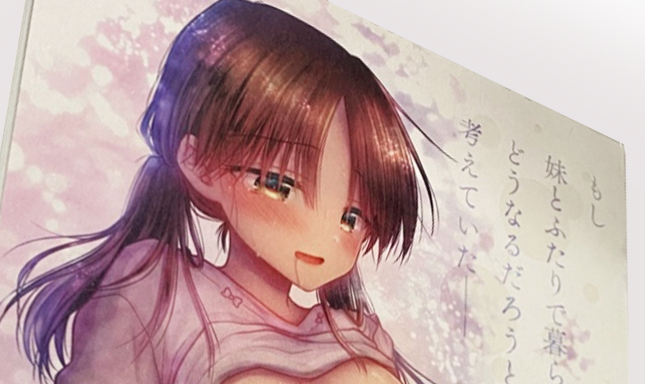 STARBOOKSの三上ミカ様の作例一覧